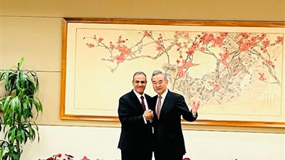 وزير الخارجية يناقش مع نظيره الصيني قضية الأمن المائي وسد إثيوبيا