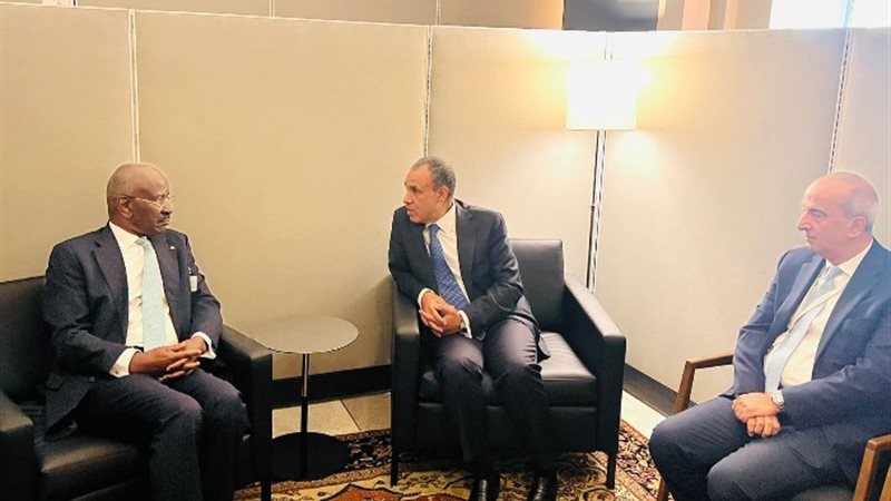 وزير الخارجية مع نظيره الموريتاني
