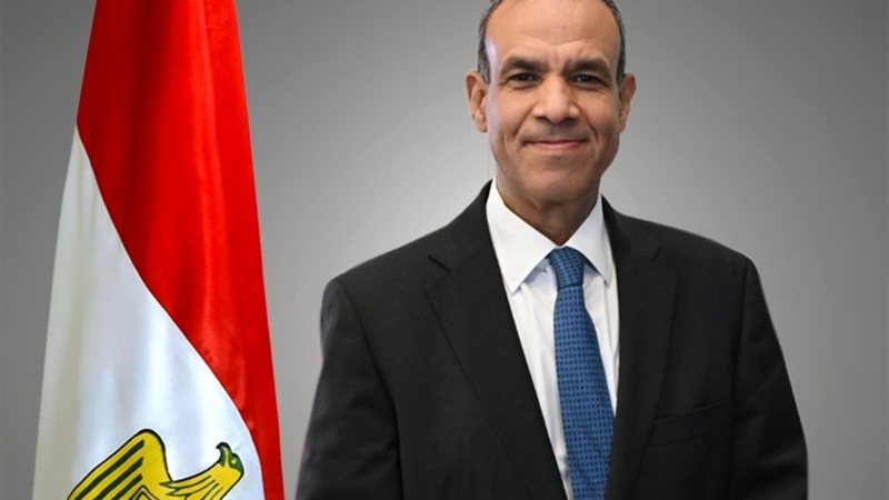 وزير الخارجية بدر عبد العاطي