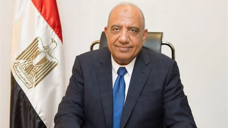 الدكتور محمود عصمت وزير الكهرباء