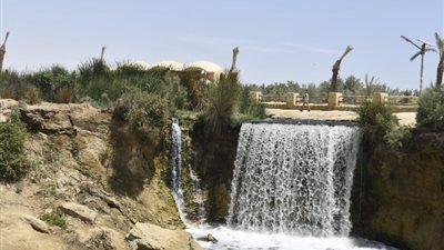 «الملاذ الآمن بوادي الريان»، مستجدات الاستثمار البيئي بالمحميات الطبيعية