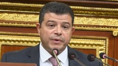 فوز محمد سليمان برئاسة اقتصادية النواب و