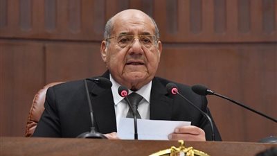 رئيس مجلس الشيوخ يشيد بدعم مصر ليبيا والسودان في أزمتهما