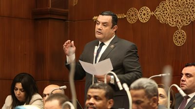 عضو بالشيوخ: الدعم النقدي من أدوات مواجهة معدلات التضخم المتزايدة (فيديو)
