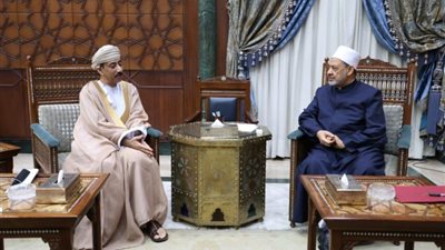 الإمام الأكبر لسفير سلطنة عمان: الأزهر يُولِي اهتمامًا كبيرًا بلم شمل الأمة