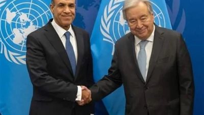 مصر ترحب بدعم مجلس الأمن لسكرتير الأمم المتحدة