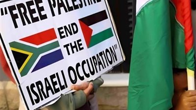 أبرزها دعوى جنوب إفريقيا، تضامن عربي ودولي لنصرة القضية الفلسطينية