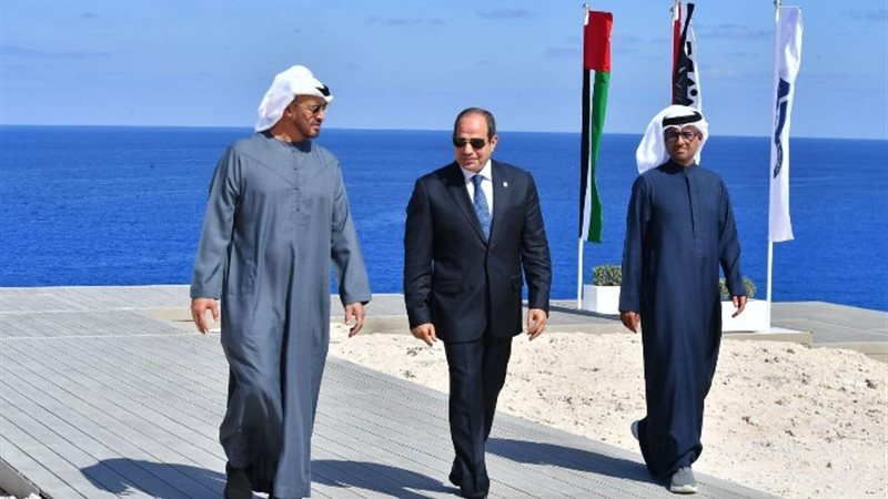 الرئيس السيسي ونظيره الإماراتي