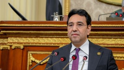 مقرر الاستثمار بالحوار الوطني: رأس الحكمة يدر 50 مليار دولار سنويا لمصر (فيديو)