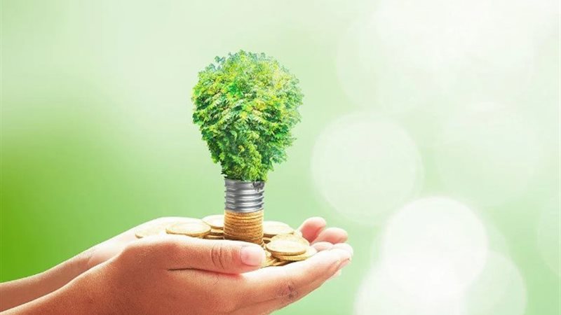 المشروعات الخضراء