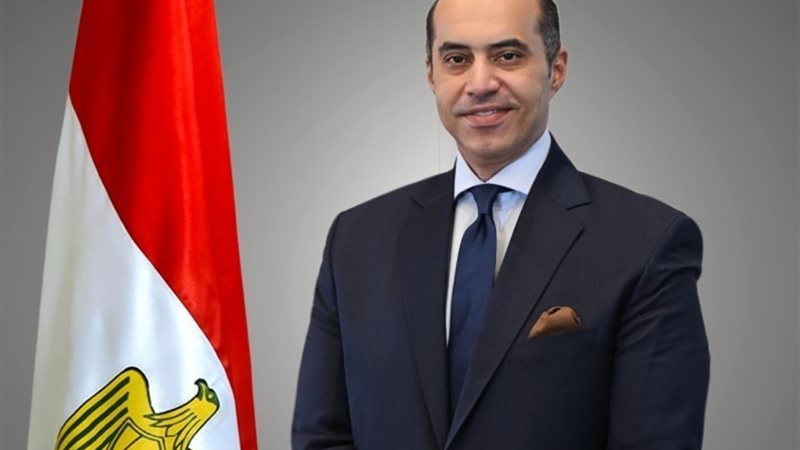 المستشار محمود فوزي