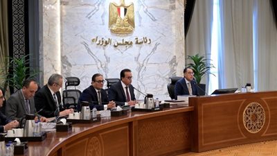مجلس الوزراء يحدد عقوبات الشركات الممتنعة عن بيع 7 سلع أساسية