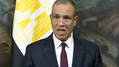 مصر تجدد دعوتها لوقف إطلاق النار في غزة ولبنان