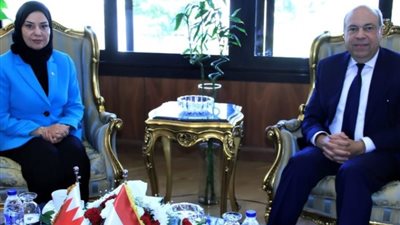 وزير الطيران يبحث مع سفيرة البحرين مجالات التعاون المشترك