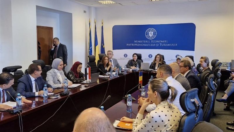 وزيرة التخطيط