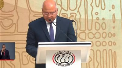 نائب رئيس الوزراء: 5.6 مليار دولار فاتورة استيراد مصر لسلع استفزازية