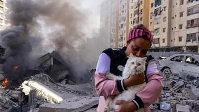 دموية إسرائيل لا ترحم، متطوعون ينقذون الحيوانات من تحت الأنقاض بلبنان