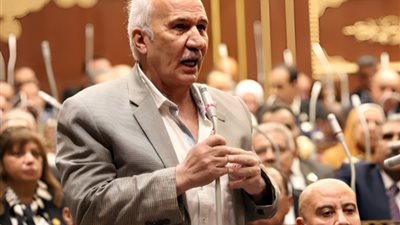 رئيس حزب التجمع: المبادرات لا تغني عن دور الحكومة في الرقابة على الأسواق