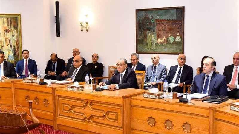 وزير الخارجية الدكتور بدر عبد العاطي