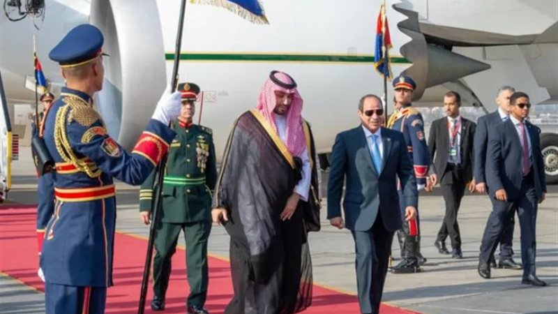 الرئيس السيسي وولى العهد السعودي