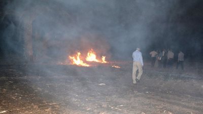 تحرير 68 محضر مخالفة بيئية لحرق المخلفات الزراعية بسوهاج «صور»