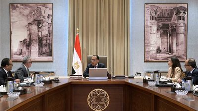 رئيس الوزراء يؤكد اهتمام الدولة بتوطين صناعة السيارات الكهربائية