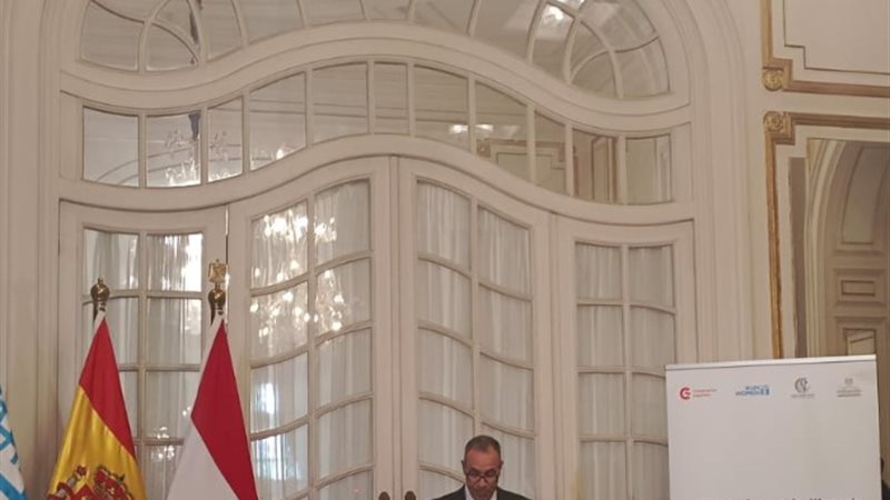 وزير الخارجية بدر عبد العاطي
