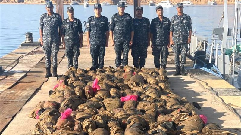 جهود القوات المسلحة لتأمين وحماية حدود الدولة