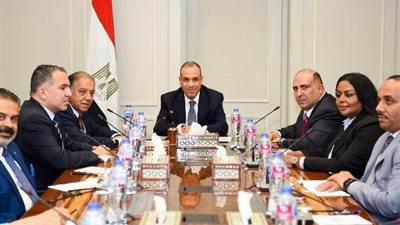 وزير الخارجية: لدينا إرادة سياسية كبيرة لتعزيز العلاقات مع دول أفريقيا