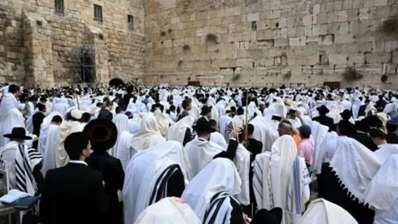 مستعمرين يقتحموا المسجد الاقصى فيع عيد العرش اليهودي