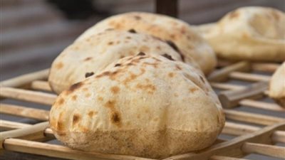 زيارة رئيس اتحاد الغرف التجارية لروسيا، تؤجل تسعير رغيف العيش السياحي