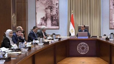 وزير الزراعة: نعمل على توفير الدواجن وبيض المائدة بأسعار مخفضة