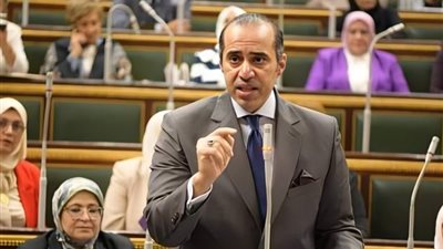 وزير الشئون النيابية: قانون تنظيم لجوء الأجانب يحفظ أمن واستقرار مصر
