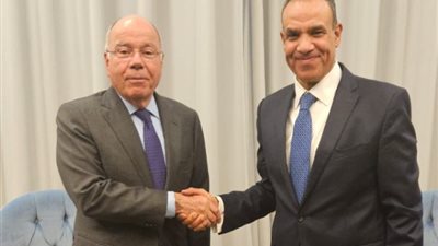 وزير الخارجية يناقش مع نظيره البرازيلي تنفيذ مُبادرة أصدقاء السلام