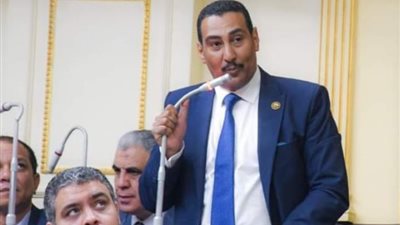 برلماني: مشاركة الرئيس السيسي بقمة بريكس تؤكد مكانة مصر وريادتها بالمنطقة