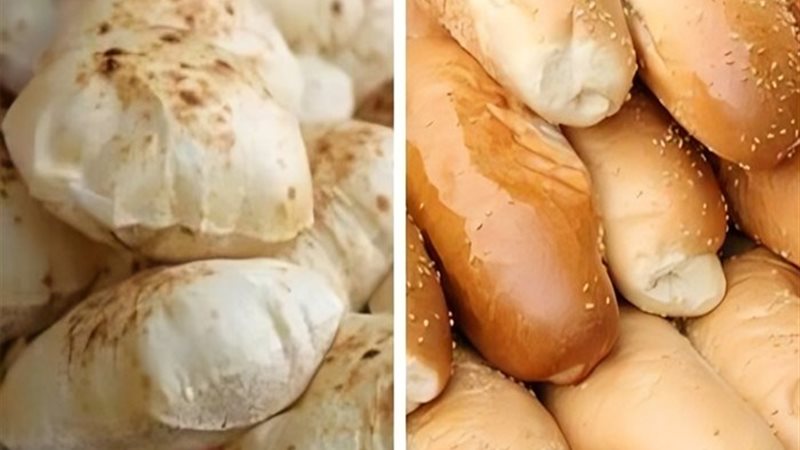 الخبز السياحي والفينو