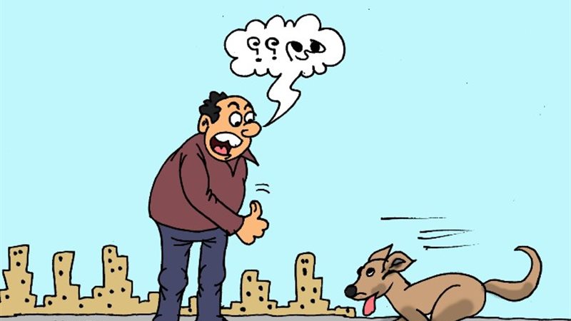 حادثة كلب الهرم
