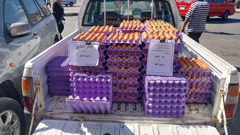 بيض مائدة