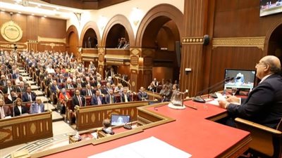 مجلس الشيوخ يحيل طلبي مناقشة بشأن زيادة الرقعة الزراعية ودعم الفلاح إلى لجنة نوعية