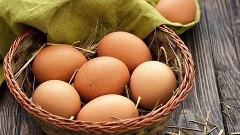 أسعار البيض في مصر