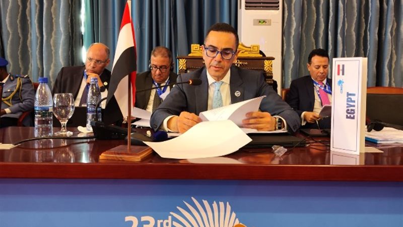 وزير الاستثمار