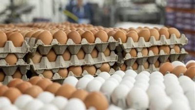 أرخص من كده مش هتلاقي، 5 أماكن لبيع البيض التركي بـ150 جنيهًا