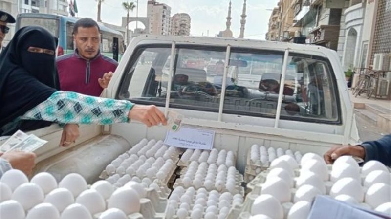 جانب من مبادرة وزارة الزراعة