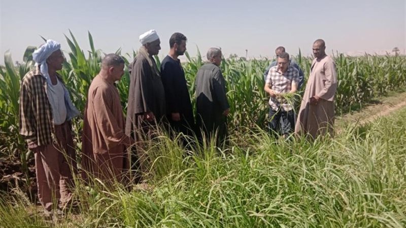 المحاصيل الزراعية