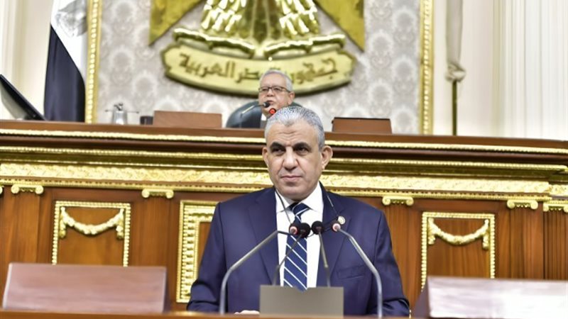 النائب عادل عبد الفضيل