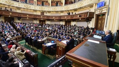 أحمد بهاء شلبي رئيسا للهيئة البرلمانية لحزب حماة الوطن بمجلس النواب