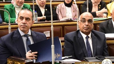 المستشار محمود فوزي يؤكد تعزيز مناخ الاستثمار ودعم القطاعات الحيوية