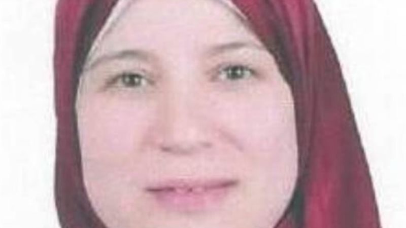 منى رزق رئيس مجلس إدارة الشركة المصرية لنقل الكهرباء