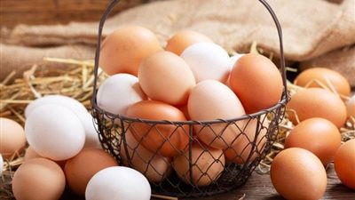 بعد انتشاره بالسوق المصرية، كل ما تريد معرفته عن البيض التركي وفوائده