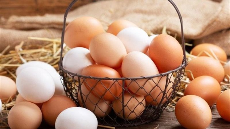 كل ما تريد معرفته عن البيض التركي